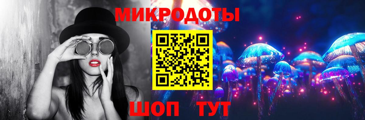 Псилоцибиновые грибы Psilocybine cubensis Тамбов